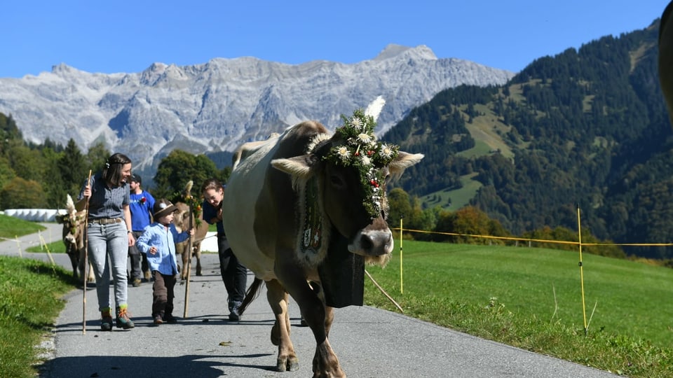 Alpabzug im Prättigau