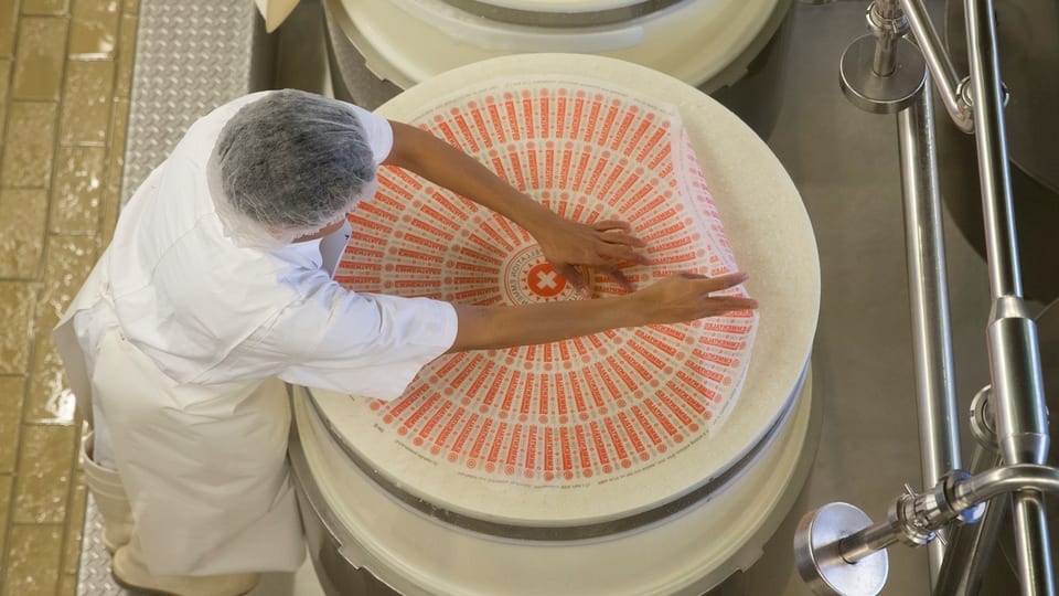 Producziun d'ina roda chaschiel d'Emmentaler. 