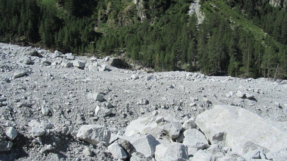 Bova en Val Bondasca.