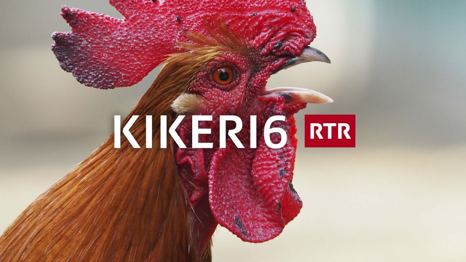Kikeri6