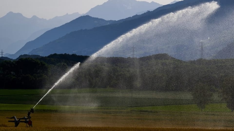 Il pur dal futur – agricultura Grischun