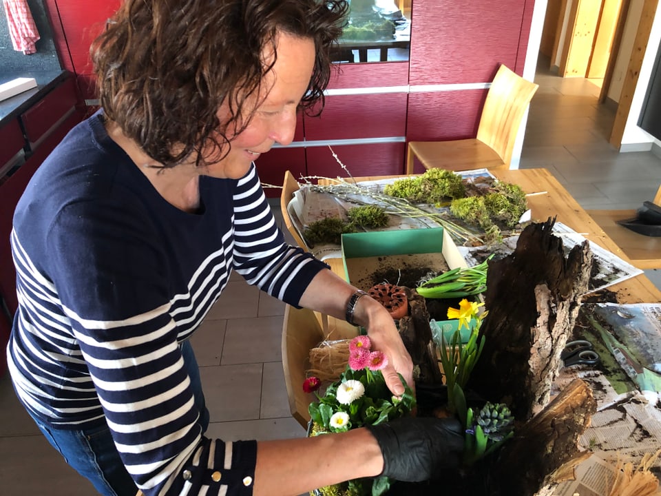 Carmelia decorescha il chanaster Gitterkorb wird mit Blumen und Moos gefüllt.