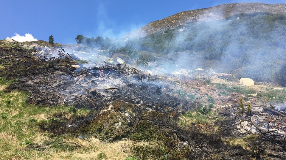 Das abgebrannte Waldstück in Susch