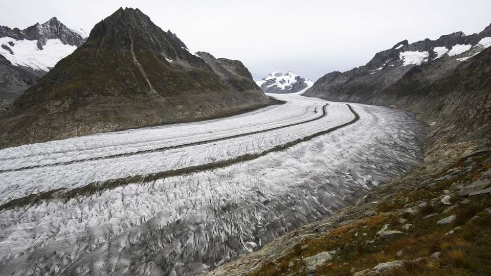 Glatscher Aletsch.