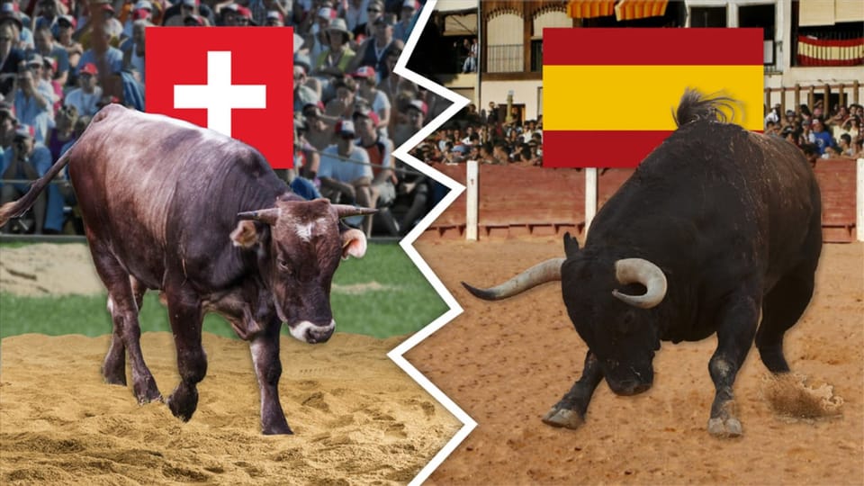 In taur svizzer versus in torro spagnol.