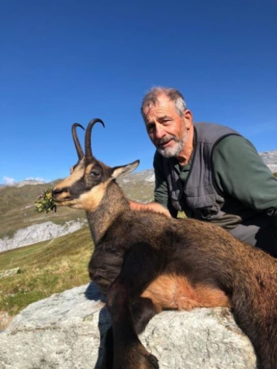 Vic Caviezel ha sajettà in buc chamutsch en l'Alp Dadens a Ladir. 