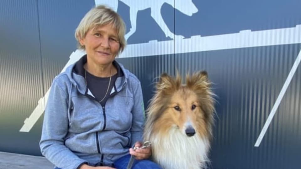 Club d'agility Viamala – Dapli ch'in club da chauns