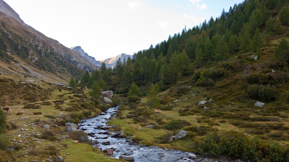 Parc Adula. 