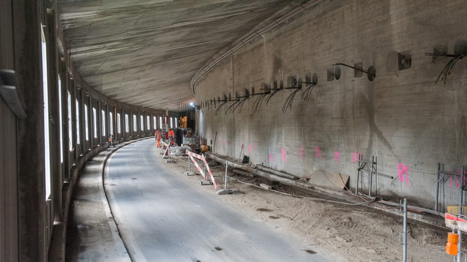 Er en l'intern vegn sanà. Uschia dat quai novs ancras che tanschan fin 12 metter en il culm.