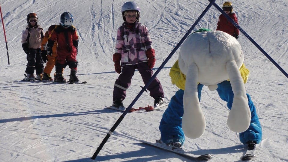 scola da skis