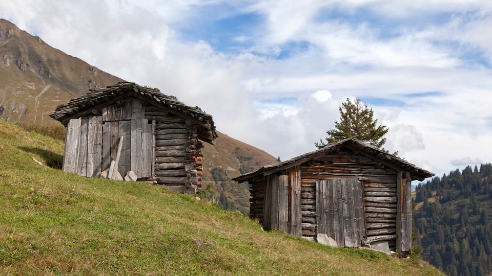 Clavads en cuntrada muntagnarda