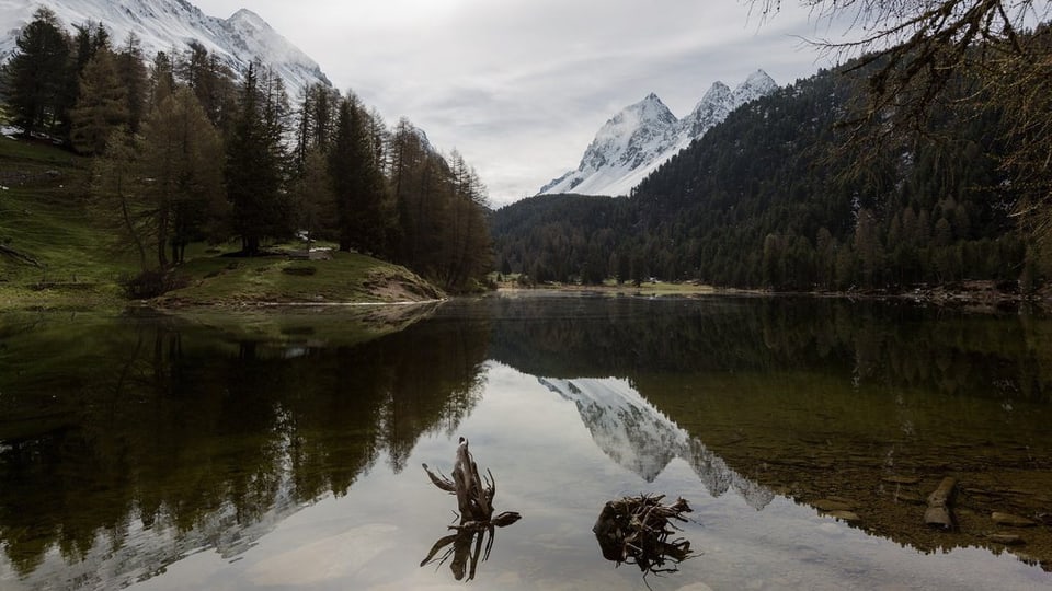 Il lai da Palpuogna