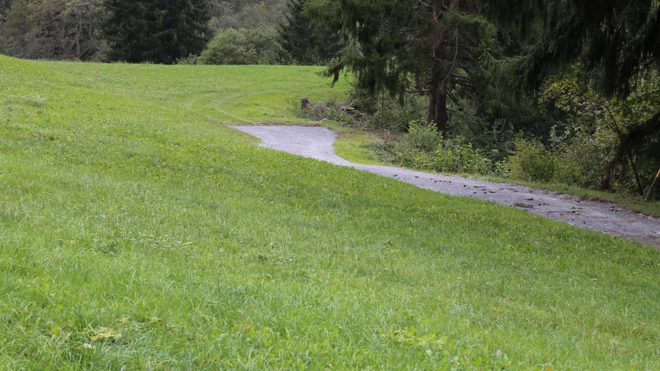 Via da funs che maina en in prà a Peiden Bogn (Val Lumnezia)