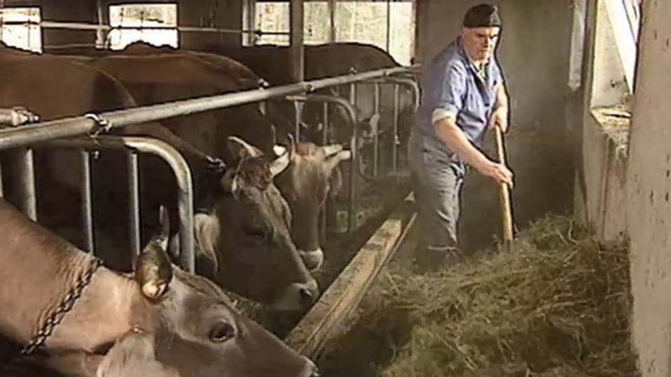 Purs midan sin la producziun biologica