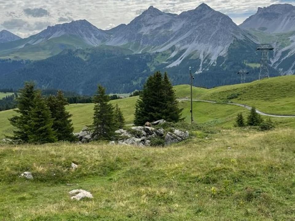 Bärenland Arosa RhB Rätische Bahn Bergbahnen See Tourismus Sommer Ferien Graubünden