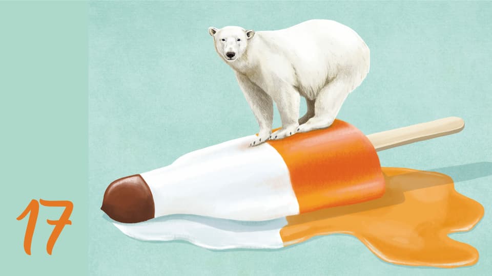 Eisbär ...