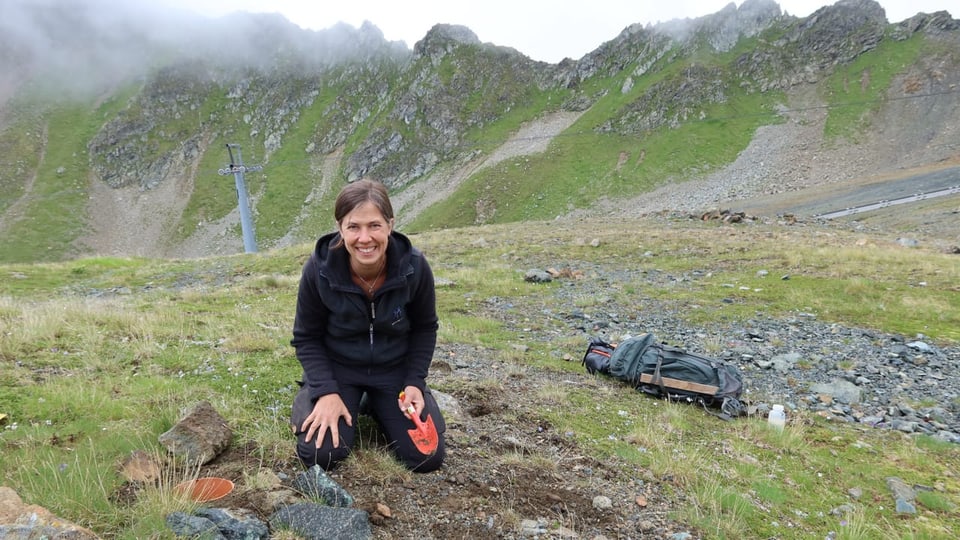 Dr. Anne Kempel hebt auf dem Weissfluhjoch die Bodenfalle für Insekten aus
