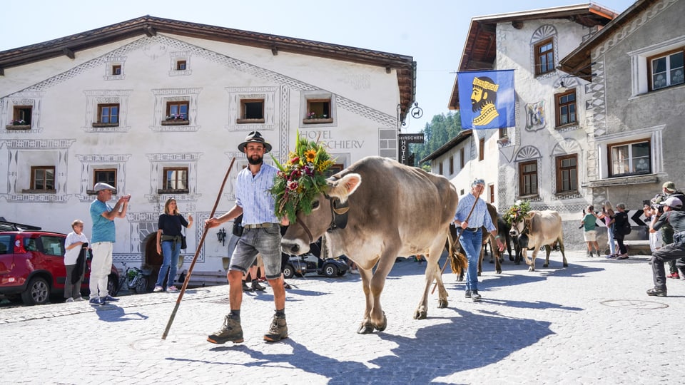 Kuh stolziert durch Müstair mit Blumenkranz und Glocke