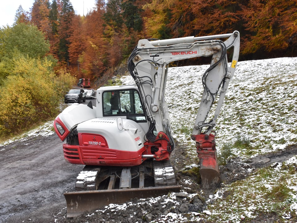Rot-weisser Raupenbagger neben einer Wiese. Der Bagger wurde von Unbekannten beschädigt.