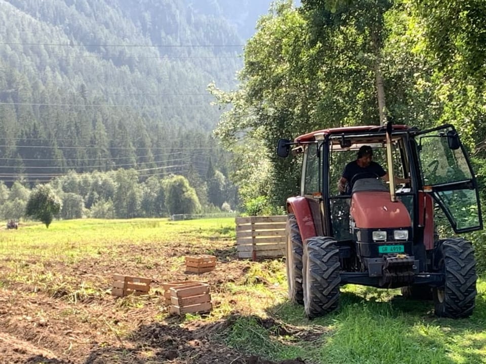 Il pur Marcel Heinrich sin ses tractor.