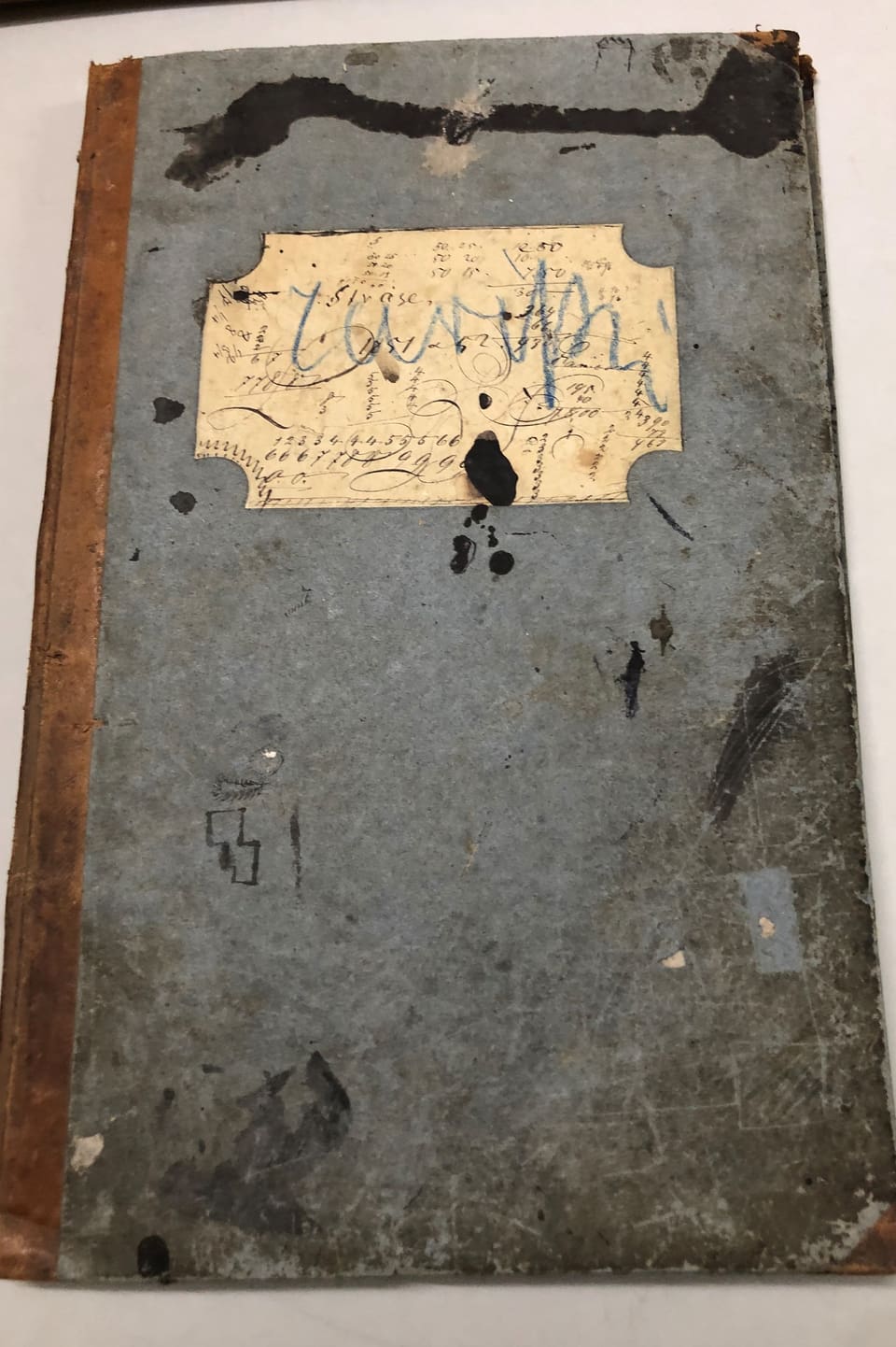 Il cudesch da contabilitad da Johannes Badrutt che cuntegna era copias da brevs e skizzas.