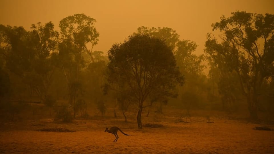 Mezdi: Niculin Crameri viva dapi 40 passa onns en Australia e rauqinta dals incendis