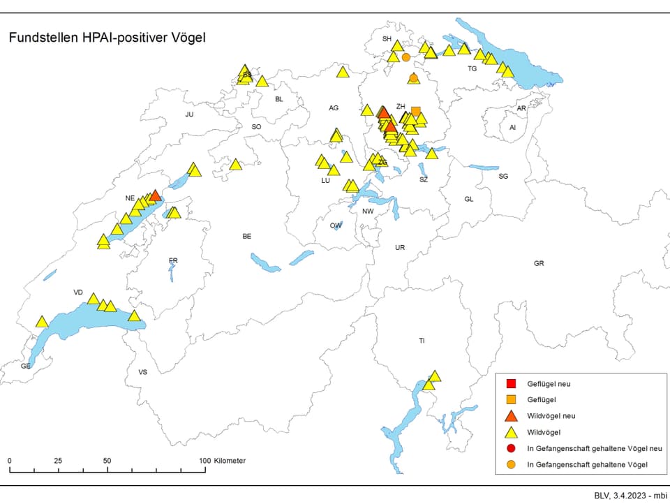 Vogelgrippefälle Schweiz