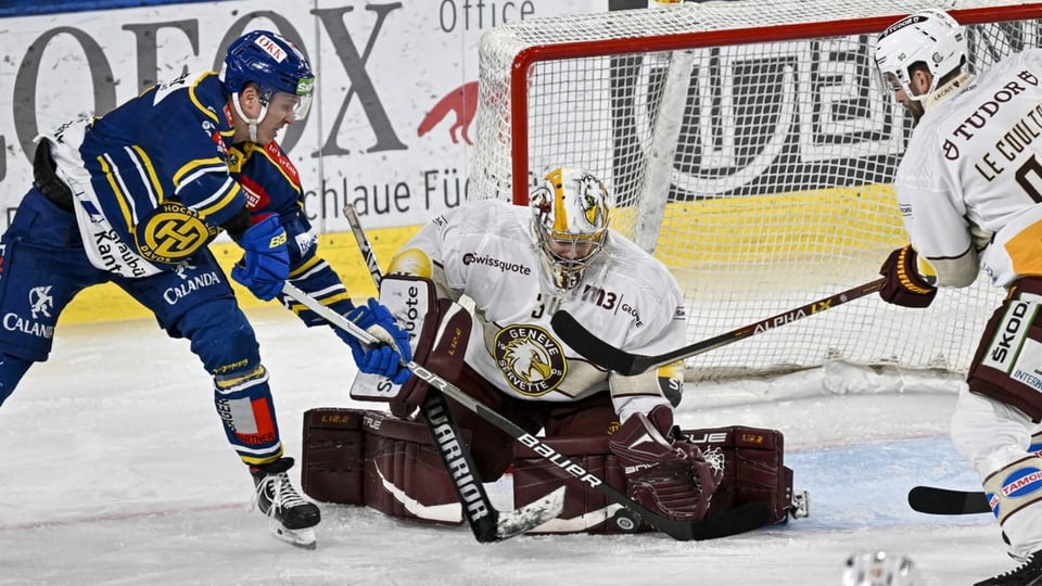 HCD, Genevra-Servette