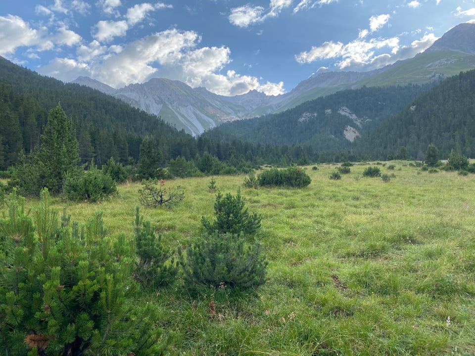 Schweizerischer Nationalpark