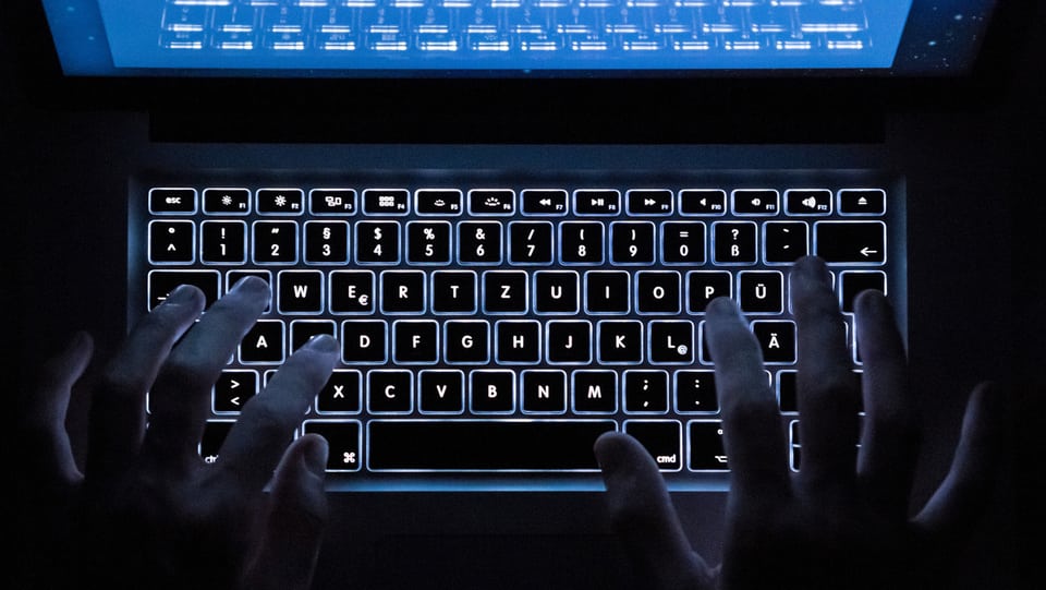 Persuna avant il computer.