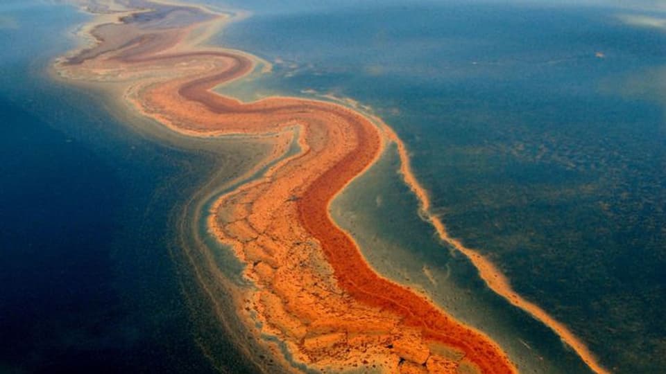 Il tarpun d'ieli en il Golf da Mexico suenter la catastrofa il 2010.