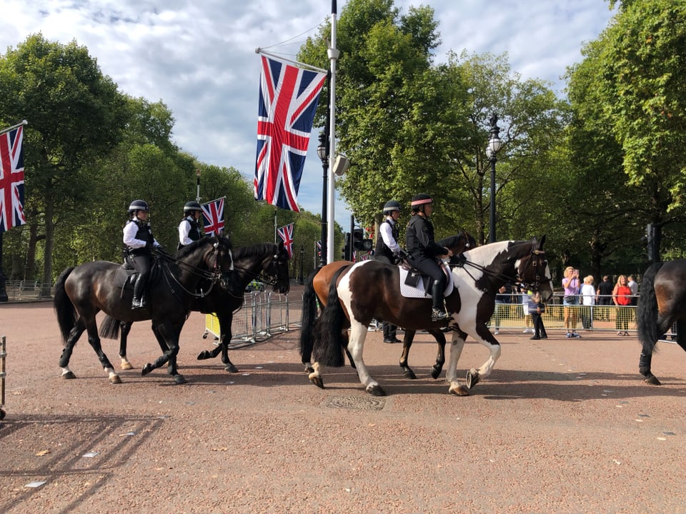 La polizia da Londra a chaval. 