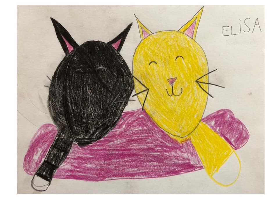 Ils giats d'Elisa Kinderzeichnung Katzen