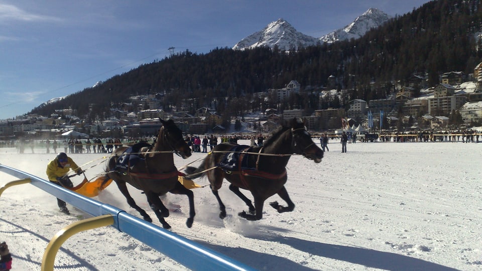 Vista sin 2 chavals durant la cursa da chavals White Turf.