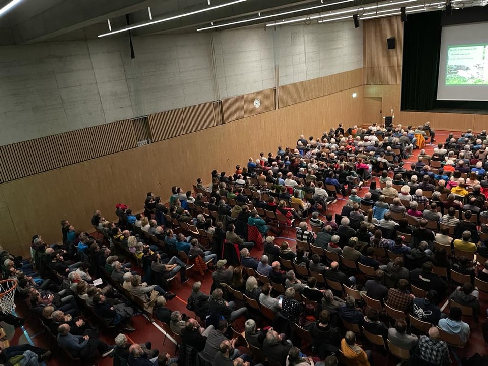 Referat über die Situation der Wölfe in der Schweiz