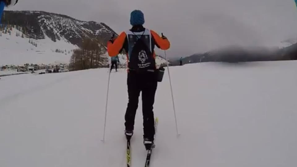 serafin beer da davos