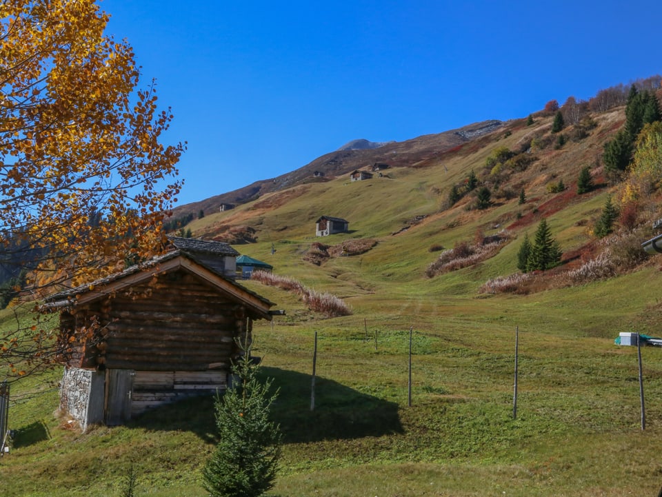 La cuntrada d'atun a Gadastatt cun feglia colurada e tschel blau