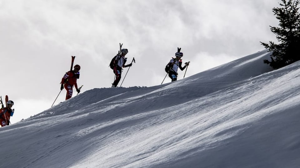 L'alpinissem da skis 