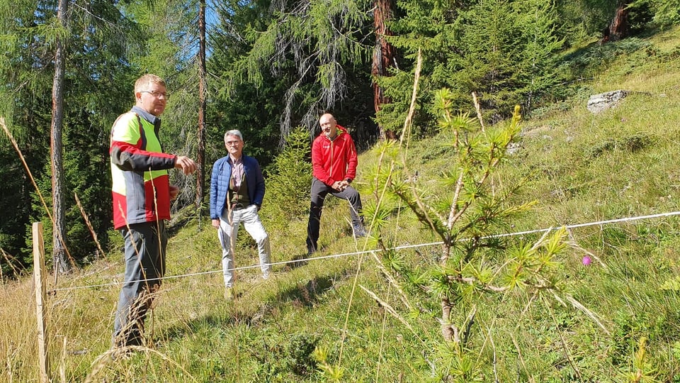 purtret da las trais persunas durant la preschentaziun.