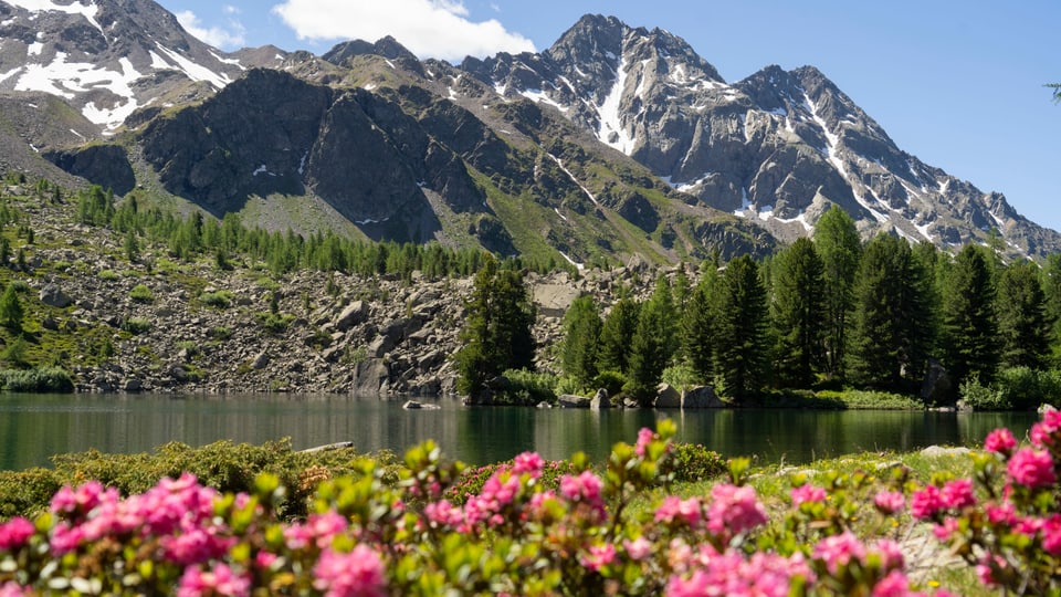 Lago di Val Viola.