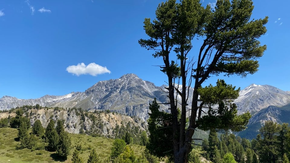 En il Parc Naziunal