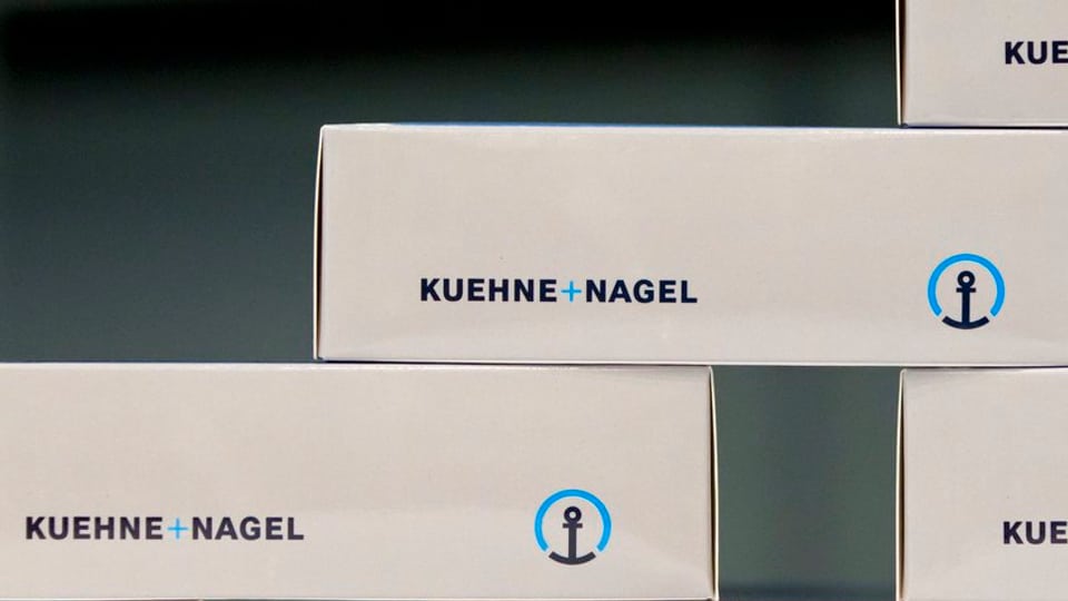 Il gudogn dal concern da logistica Kühne + Nagel ha sia sedia a Schindellegi en il chantun Sviz.