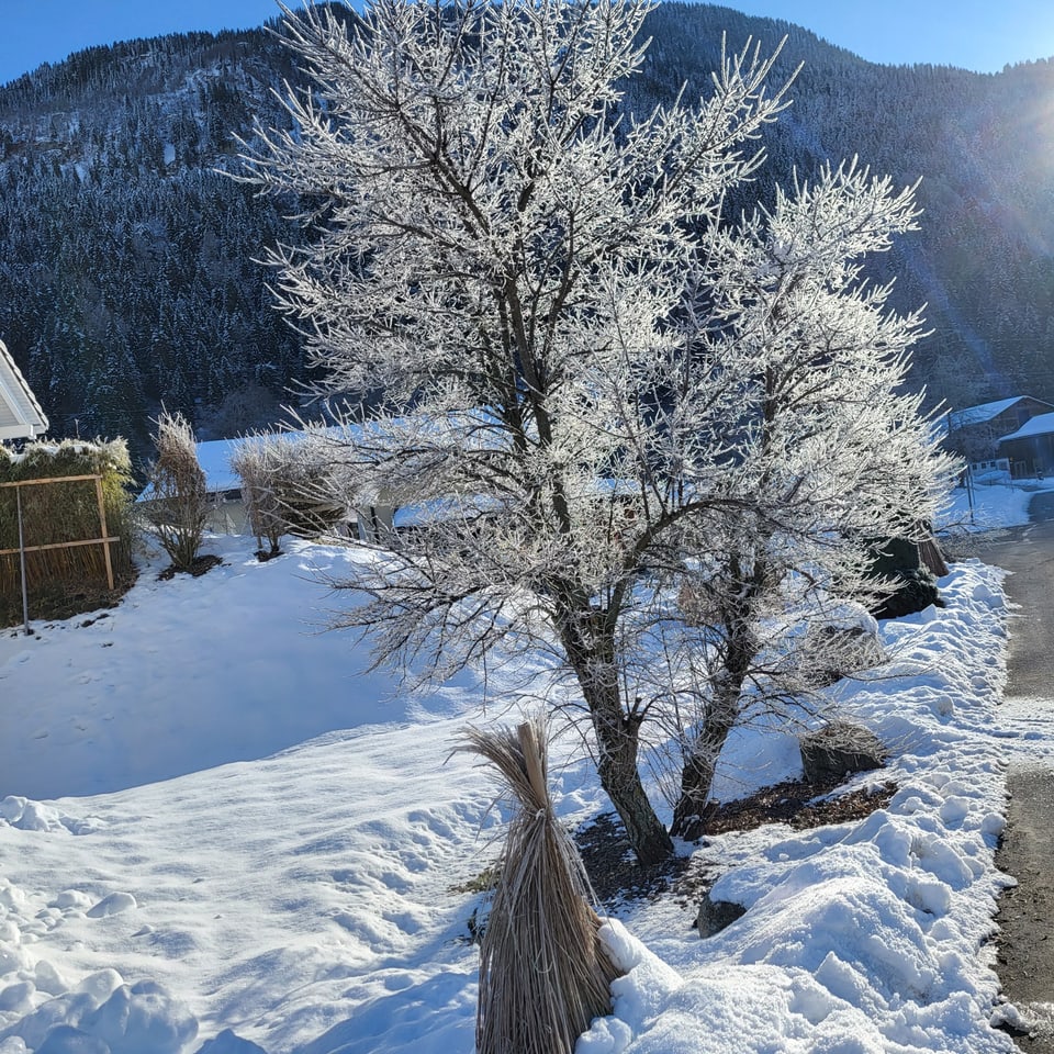Ein winterlich dekorierter Baum