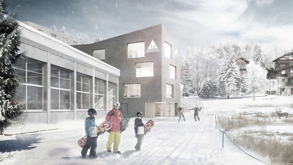 Visualisaziun dal project.