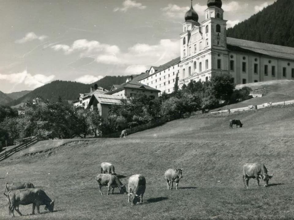 Vatgas avant la claustra da Mustér. 