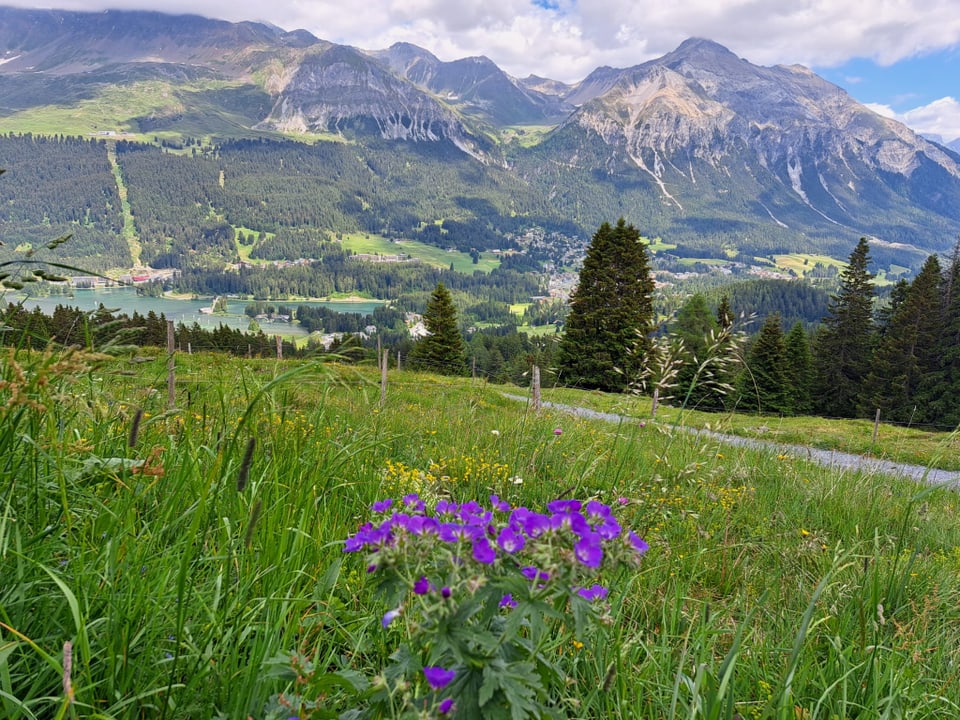 Lenzerheide