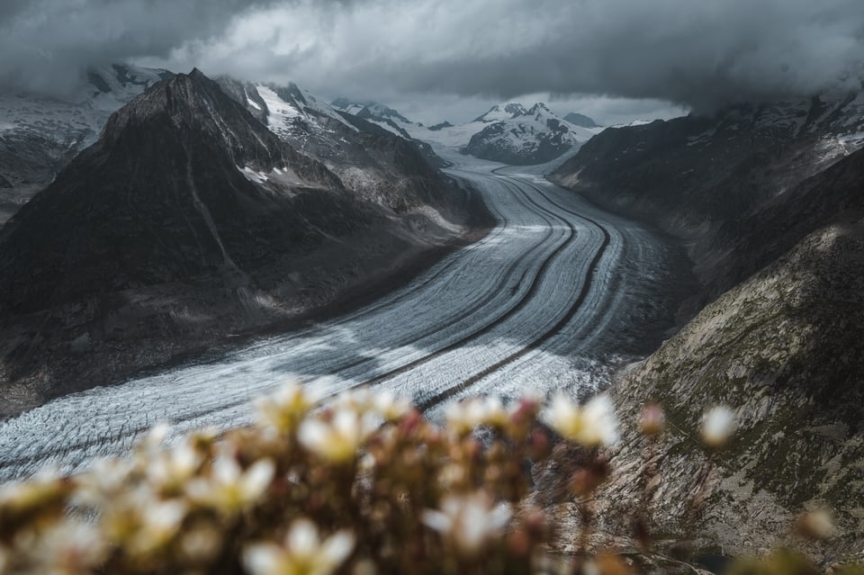 panorama d'in glatscher