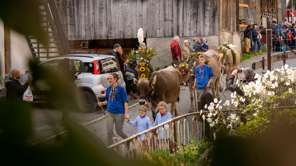 Alpabzug Fotowettbewerb 