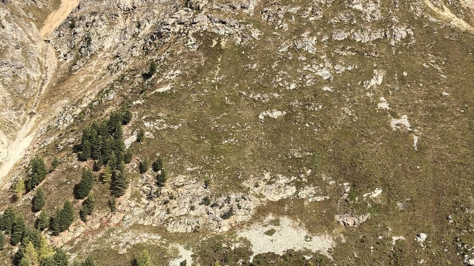 Territori grippus nua che l'accident è capità.