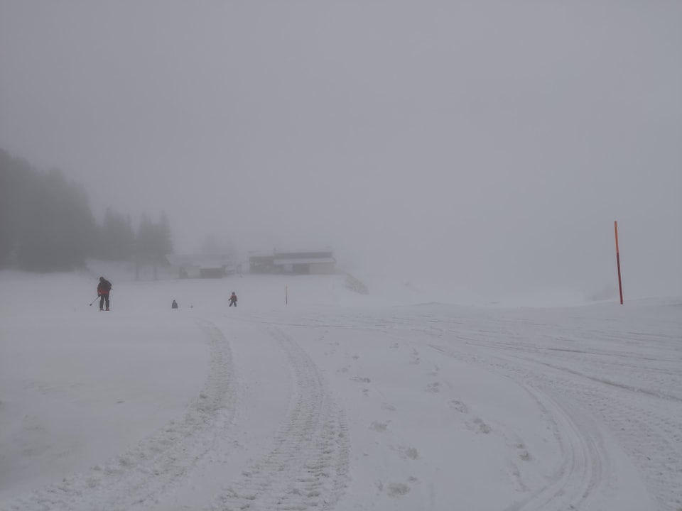 Purtret d'intgins skiunz en la nebla. 